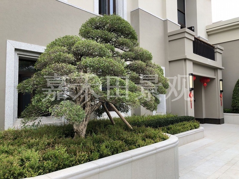 別墅景觀設(shè)計(jì)綠化環(huán)境分為哪幾部分？